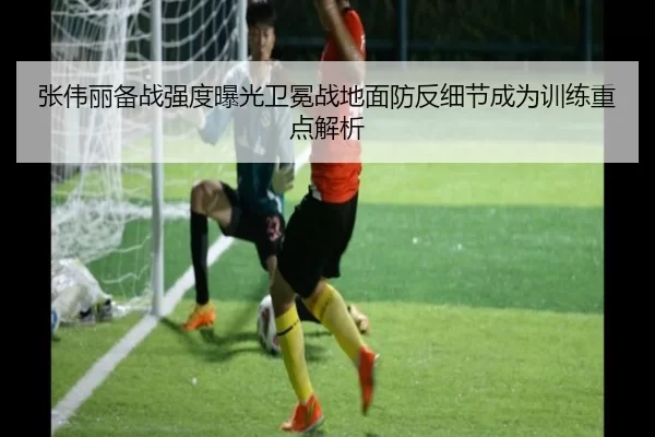 张伟丽备战强度曝光卫冕战地面防反细节成为训练重点解析